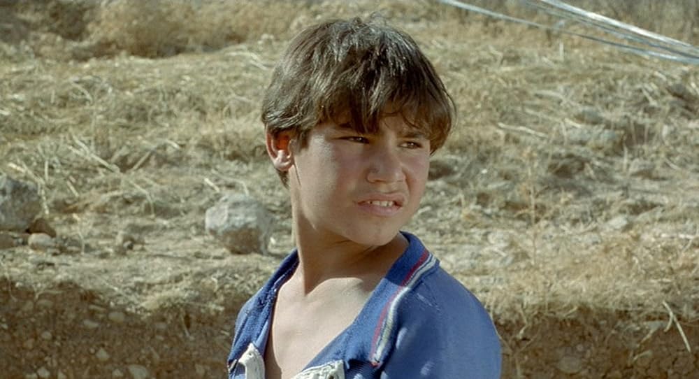 亀も空を飛ぶの画像