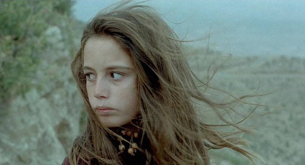 亀も空を飛ぶの画像