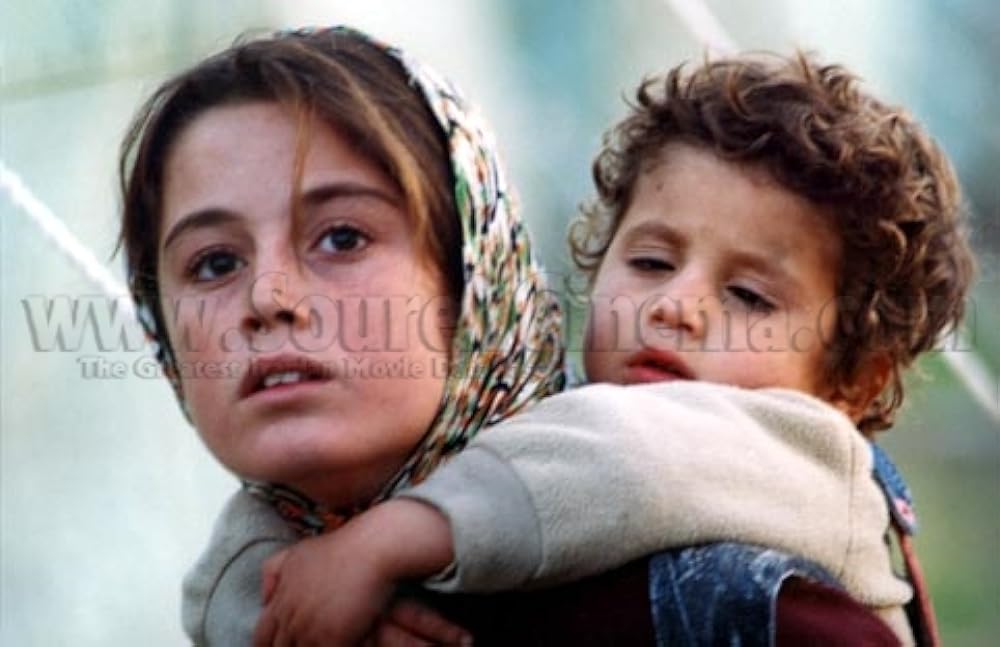 亀も空を飛ぶの画像