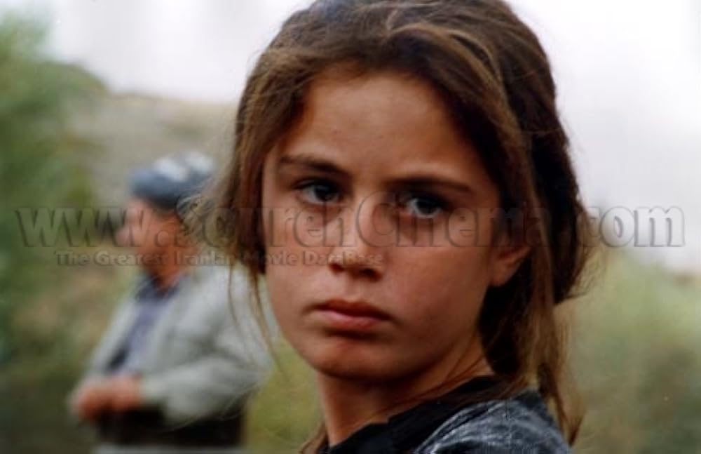 亀も空を飛ぶの画像