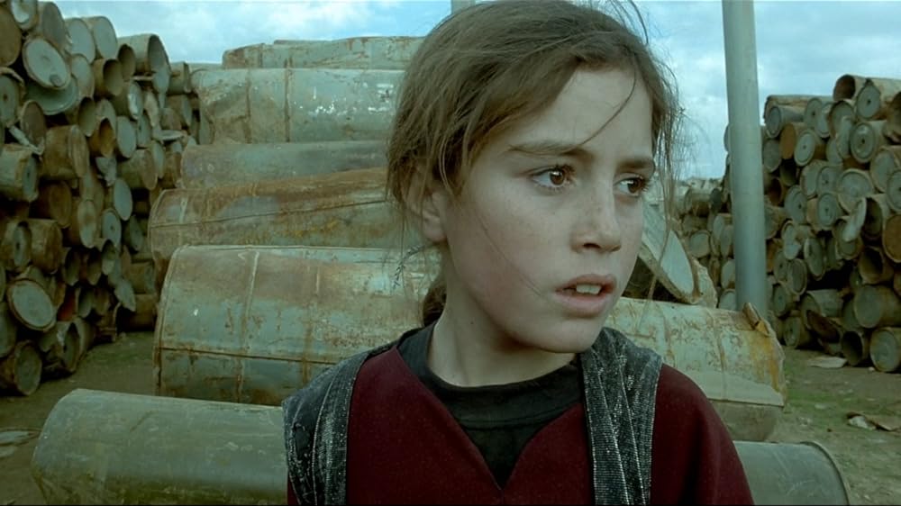 亀も空を飛ぶの画像