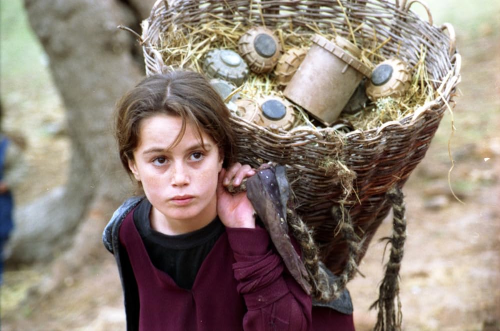 亀も空を飛ぶの画像