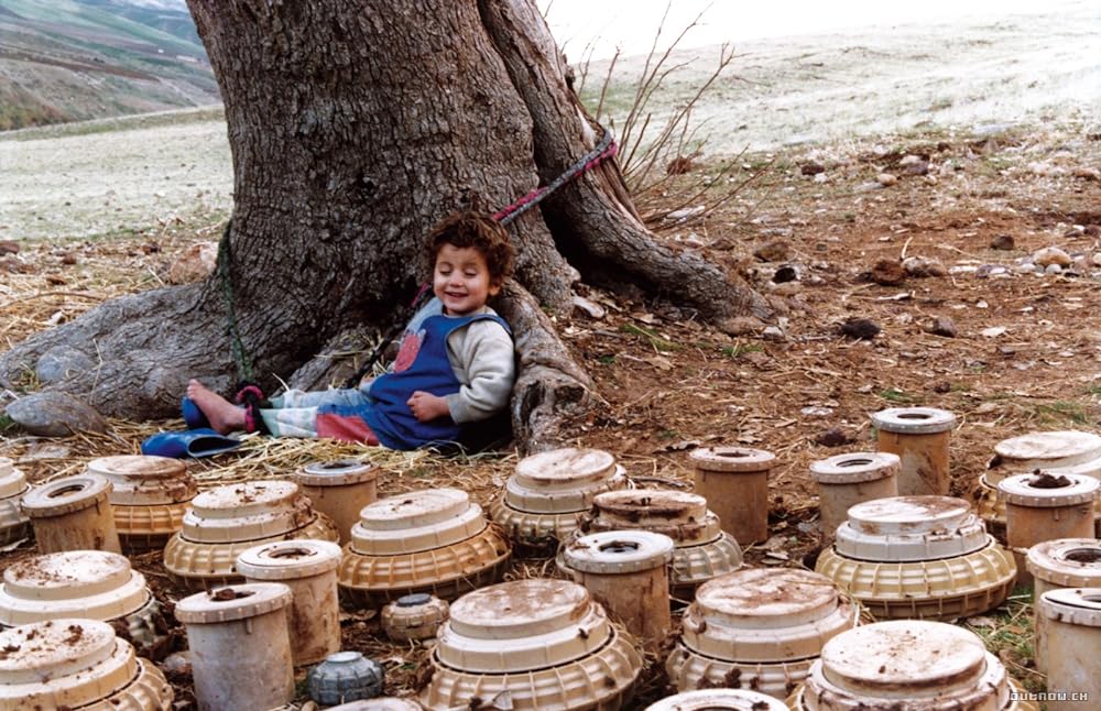 亀も空を飛ぶの画像