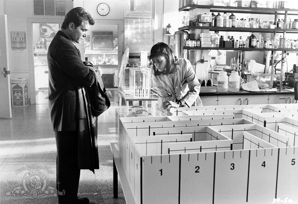 アンフォゲタブルの画像