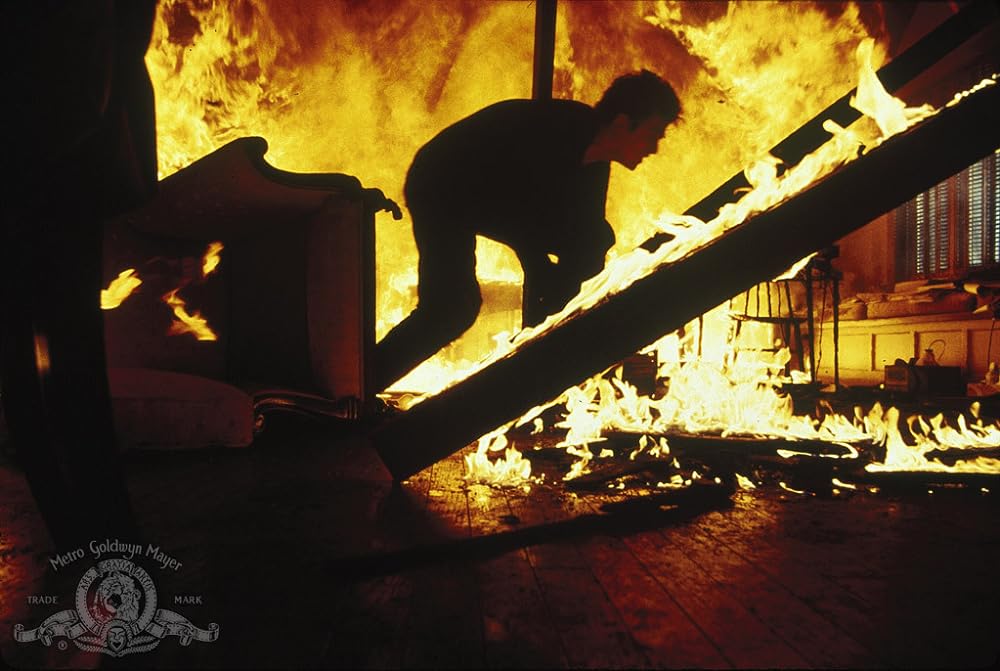 アンフォゲタブルの画像