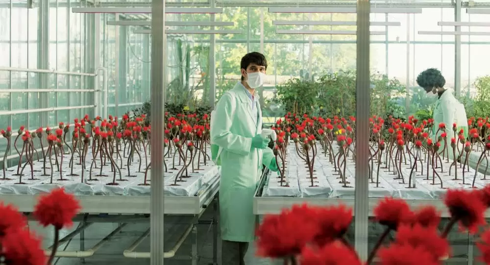 リトル・ジョーの画像