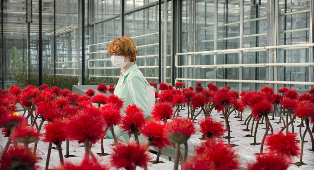 リトル・ジョーの画像