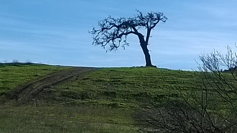 ファンタズムの画像