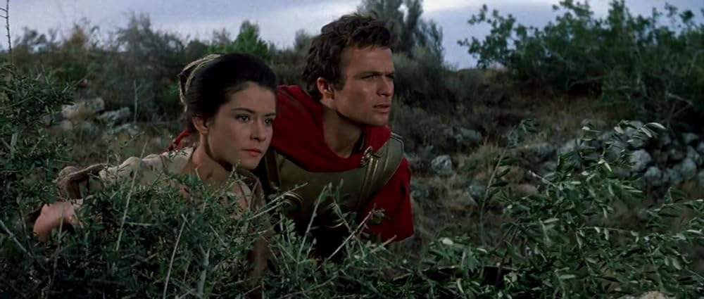 スパルタ総攻撃の画像