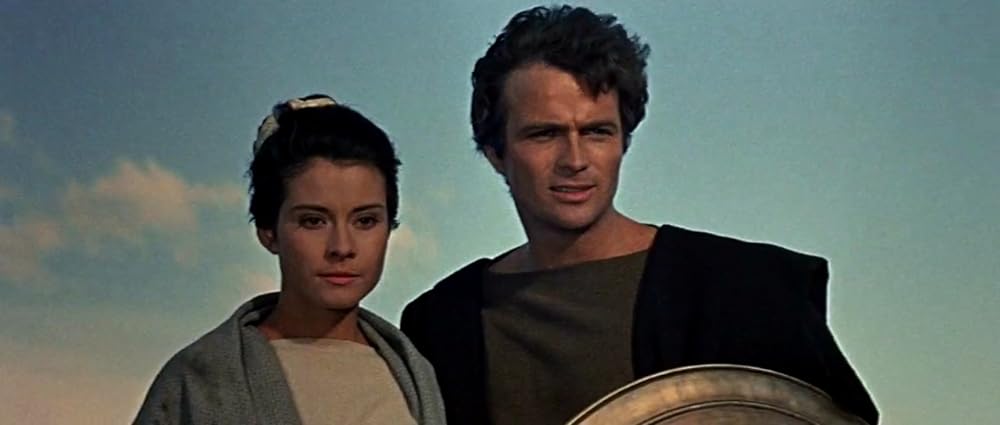 スパルタ総攻撃の画像