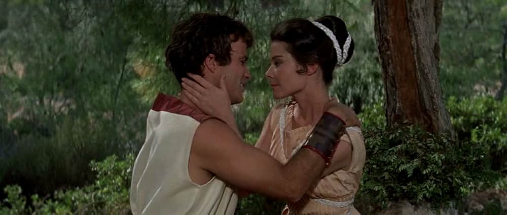 スパルタ総攻撃の画像