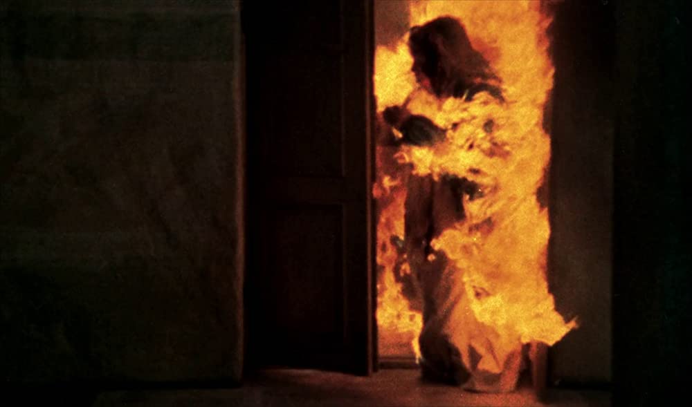 「ファニーとアレクサンデル」の画像