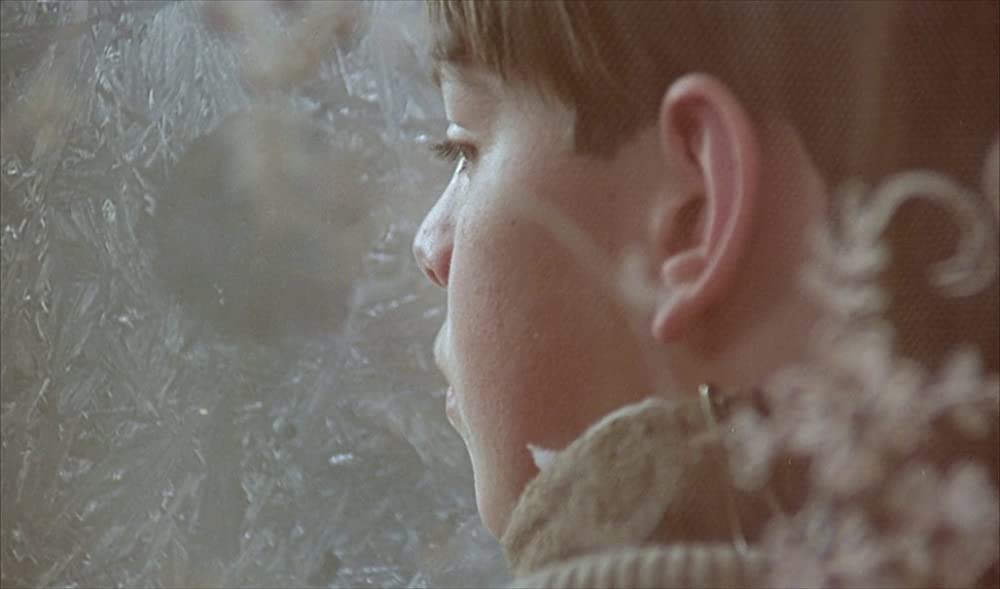 「ファニーとアレクサンデル」の画像