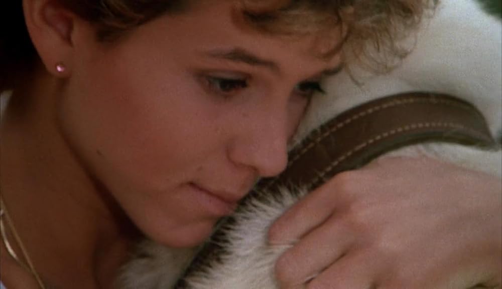 ホワイト・ドッグの画像