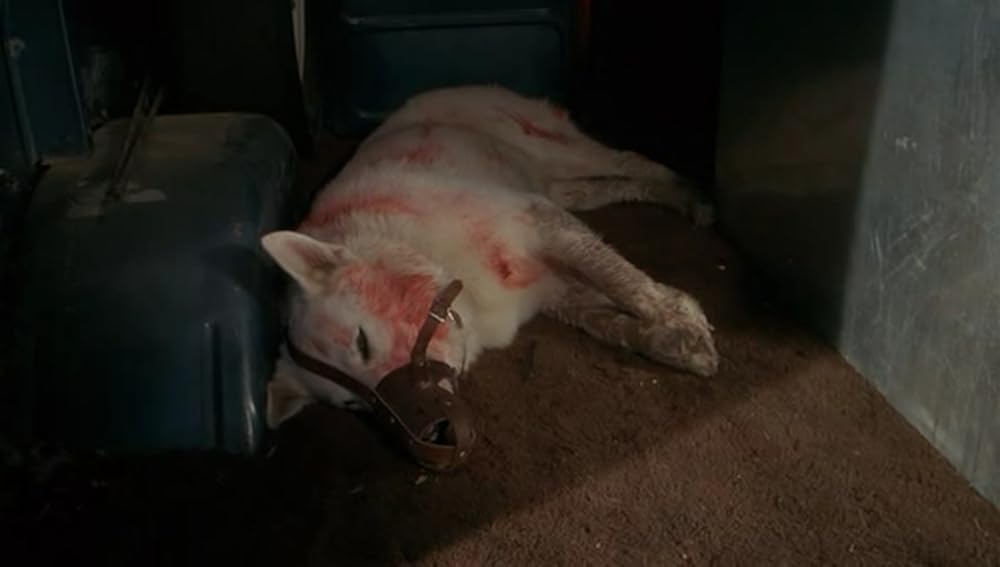 ホワイト・ドッグの画像