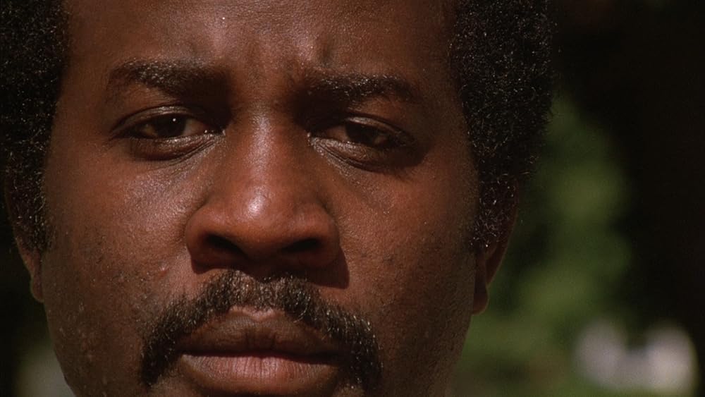 ホワイト・ドッグの画像