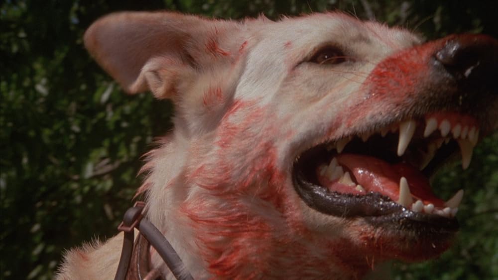 ホワイト・ドッグの画像