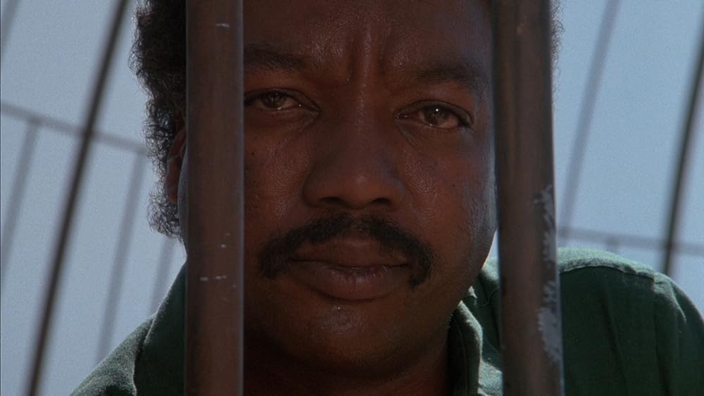 ホワイト・ドッグの画像