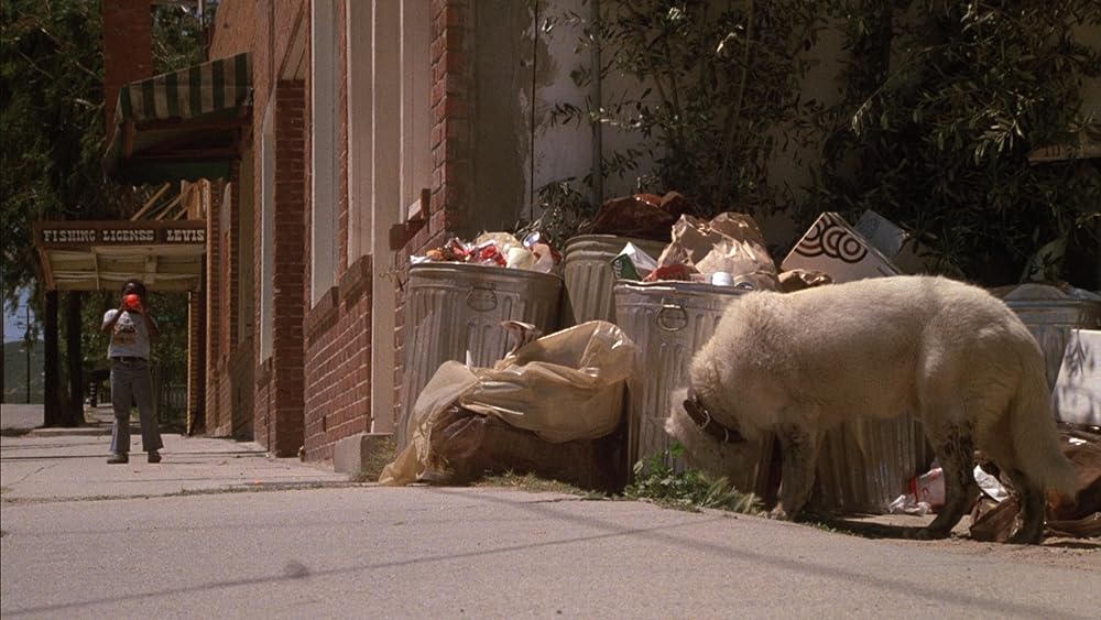 ホワイト・ドッグの画像