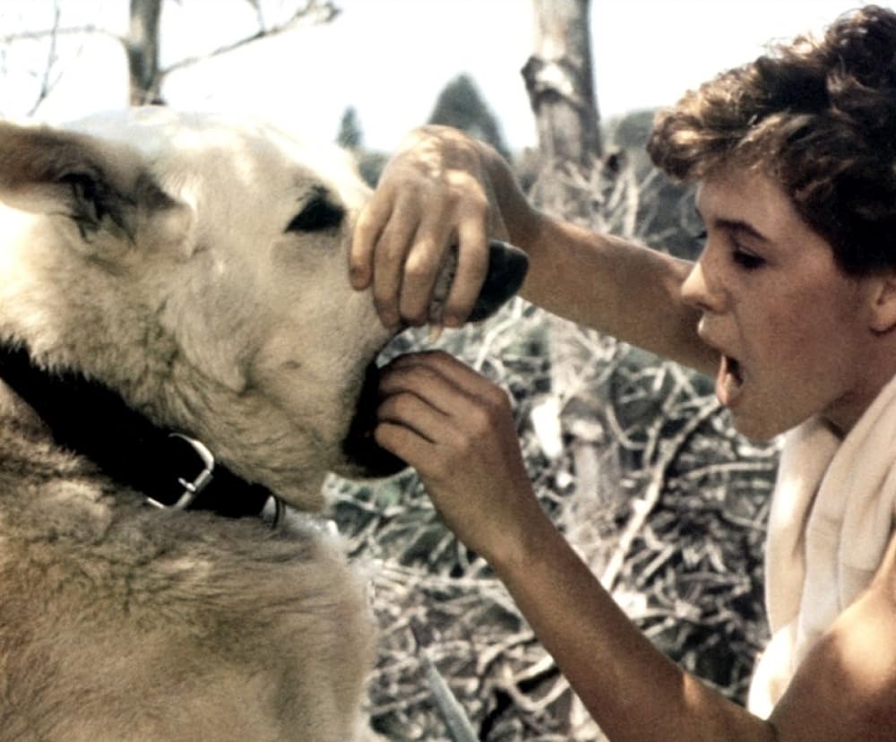 ホワイト・ドッグの画像