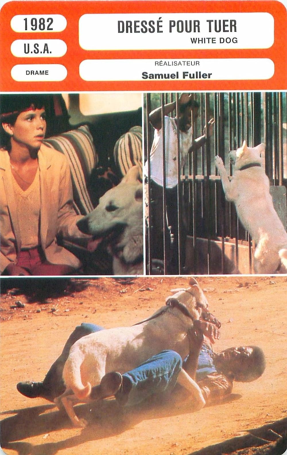 ホワイト・ドッグの画像