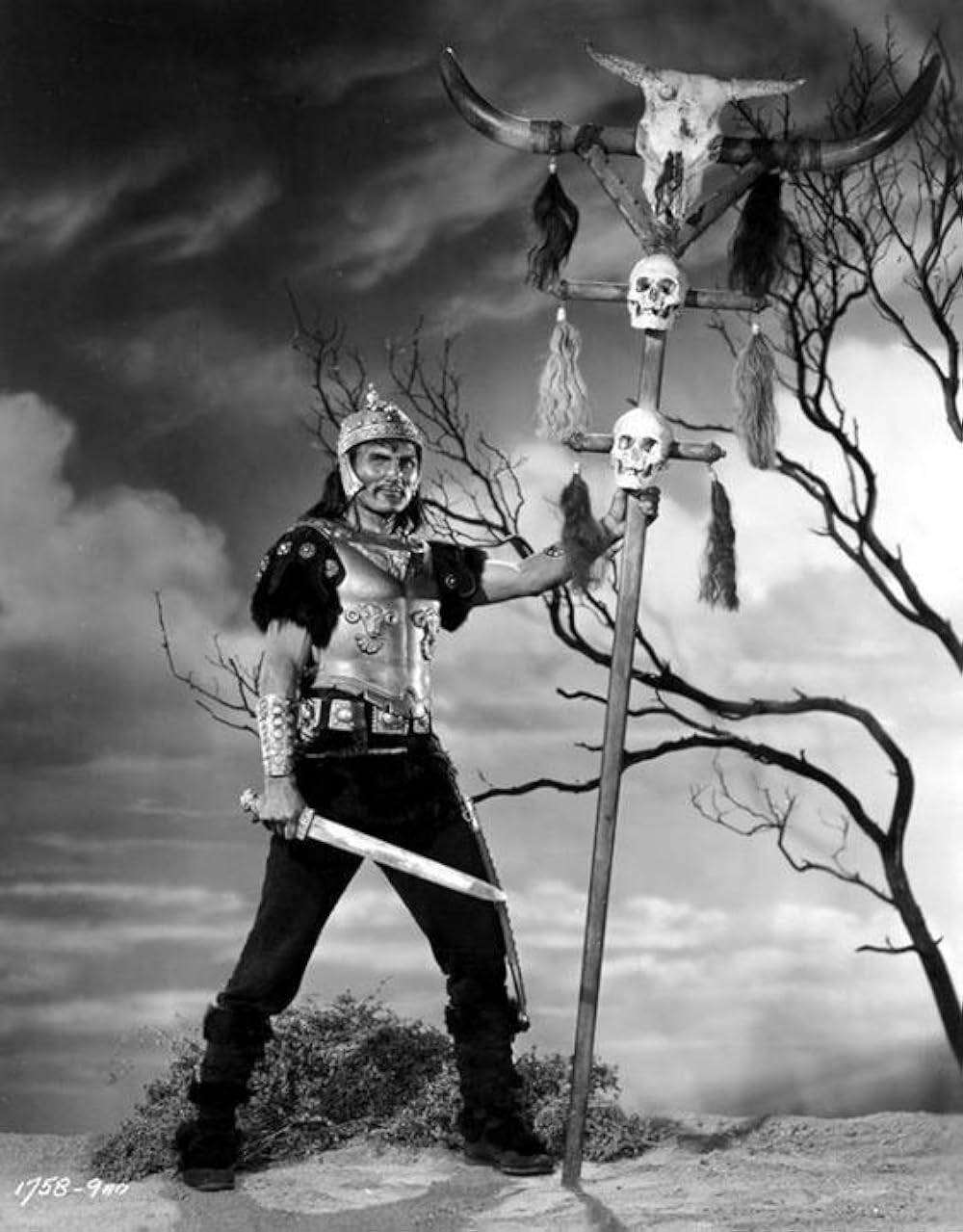 異教徒の旗印の画像