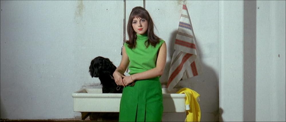 メイド・イン・USAの画像