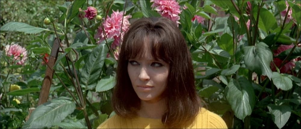 メイド・イン・USAの画像