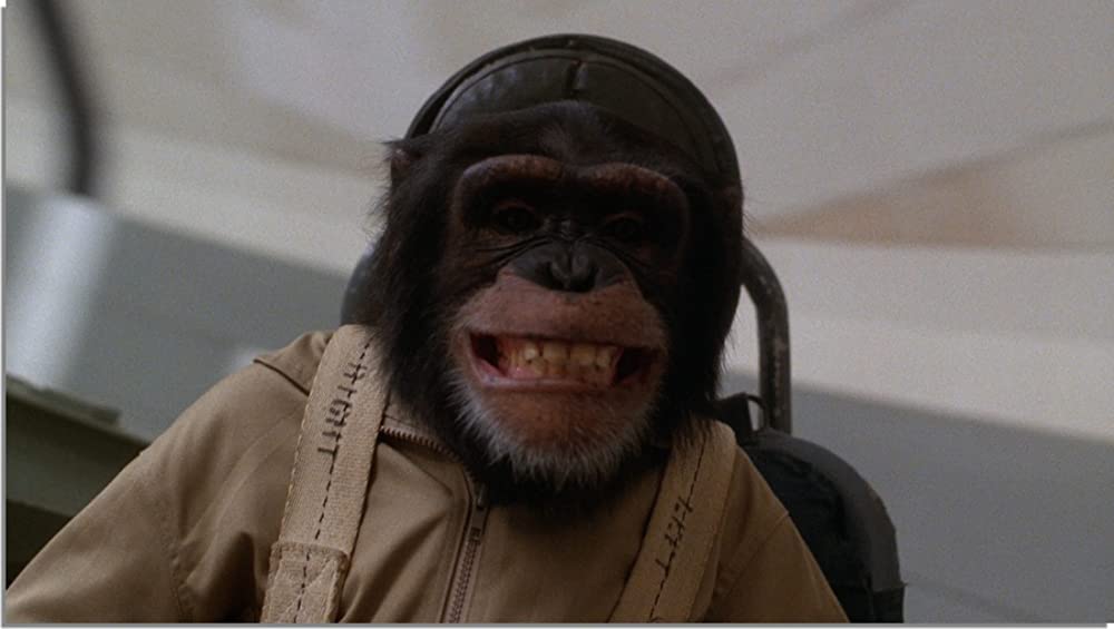 ライトスタッフの画像