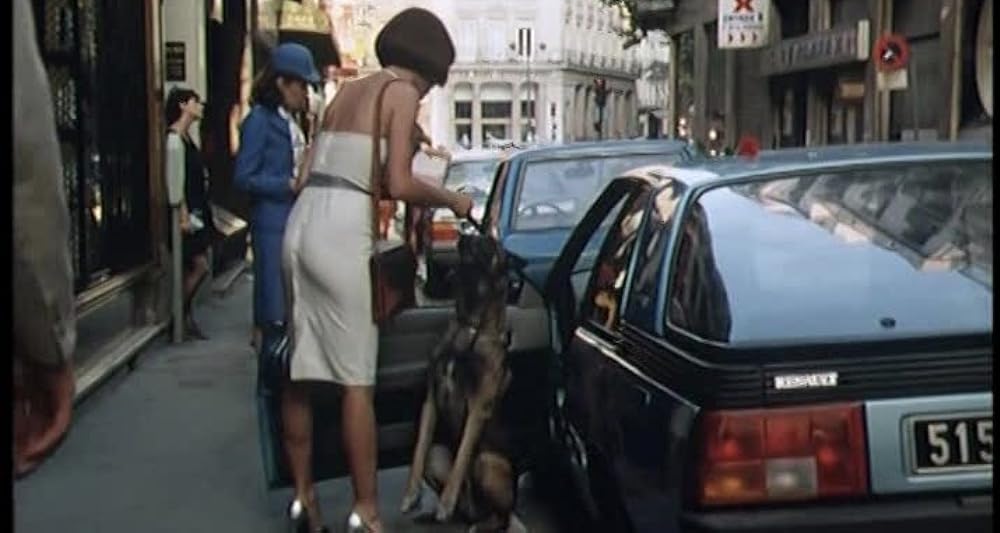 愛しきは、女／ラ・バランスの画像