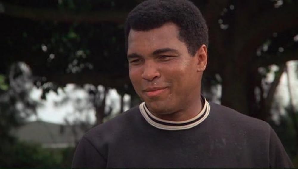 アリ／ザ・グレーテストの画像