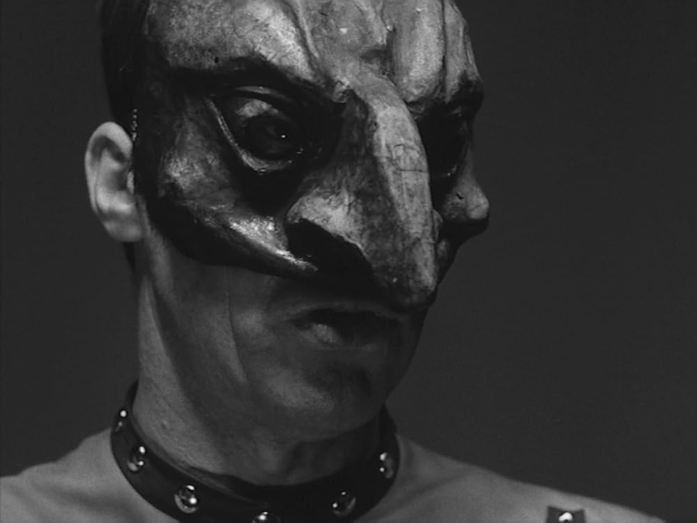 夜の儀式の画像