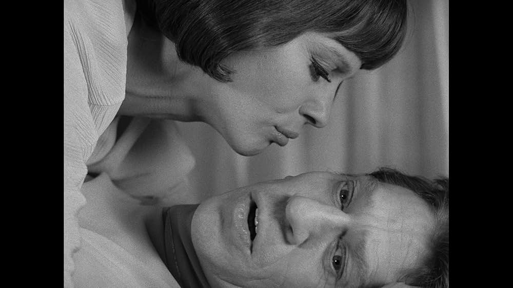 夜の儀式の画像