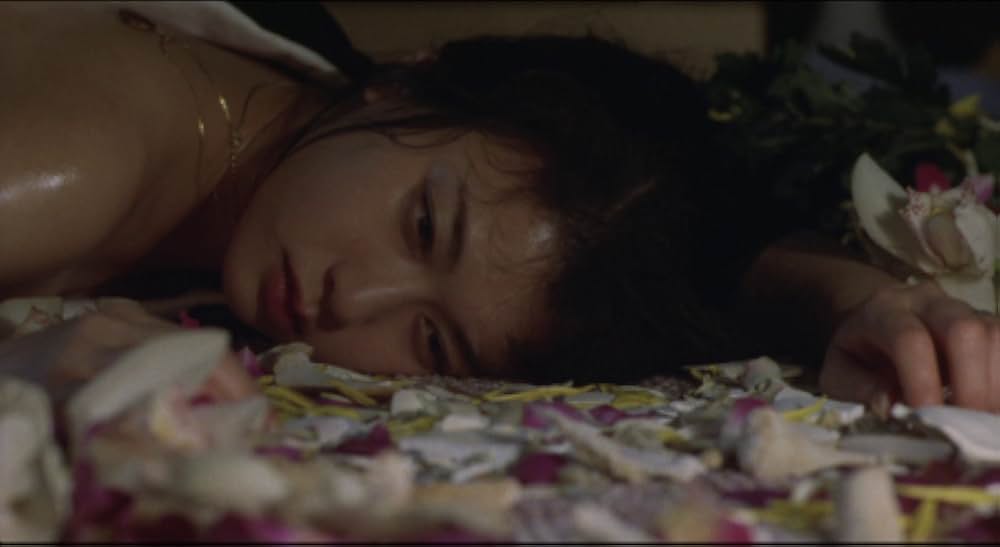 夜がまた来るの画像