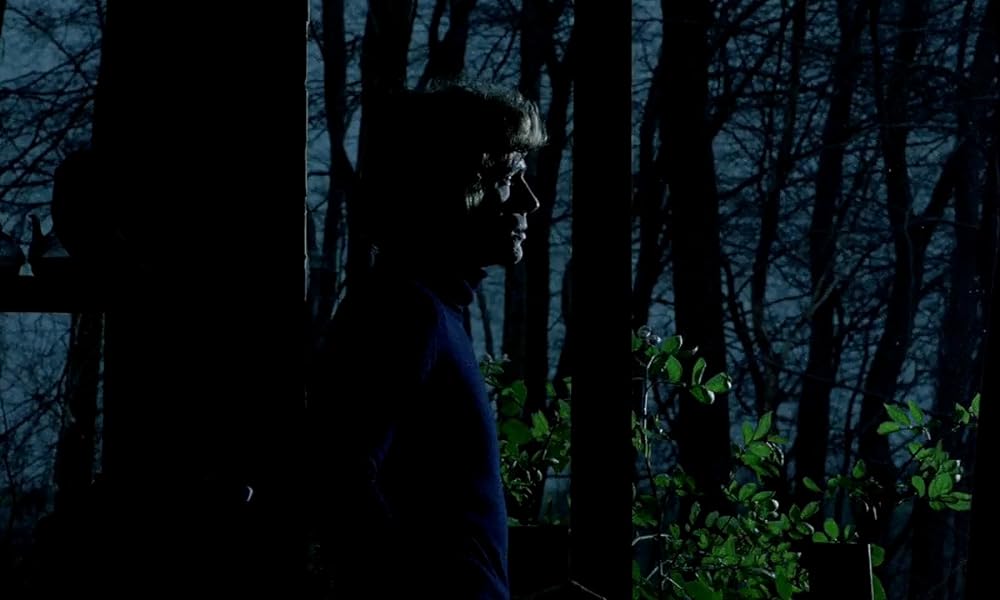 カタリーナ・ブルームの失われた名誉の画像