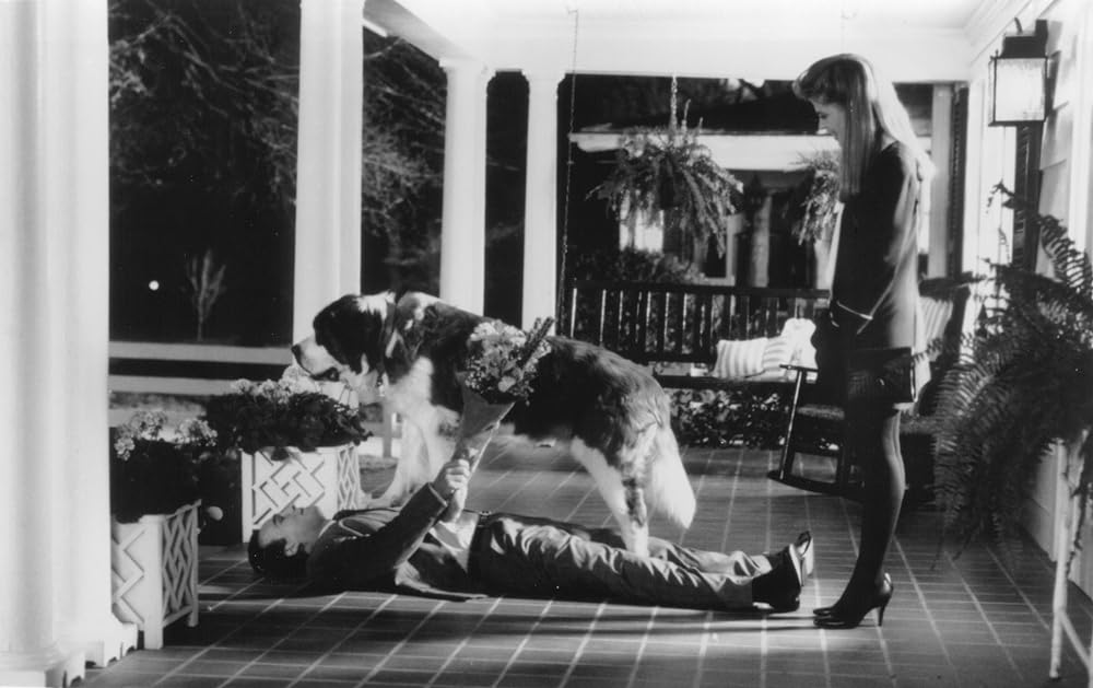 MR.デスティニーの画像