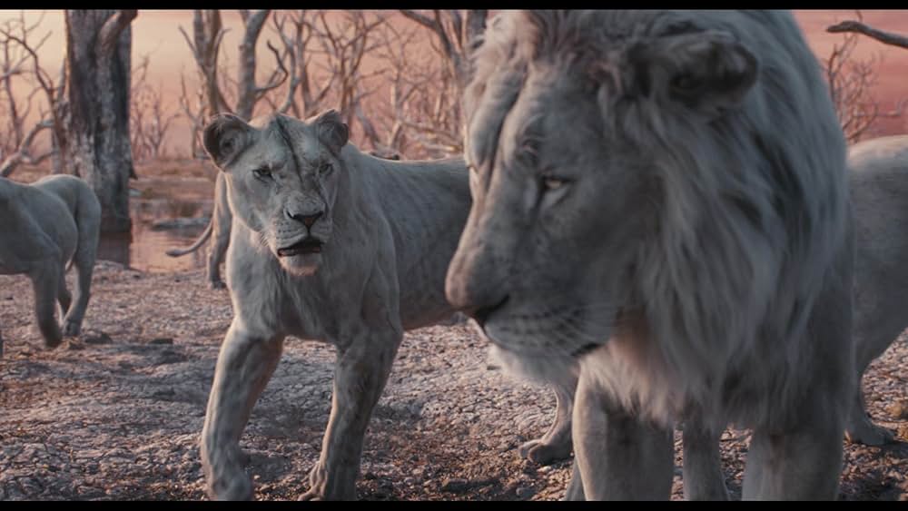 ライオン・キング：ムファサの画像