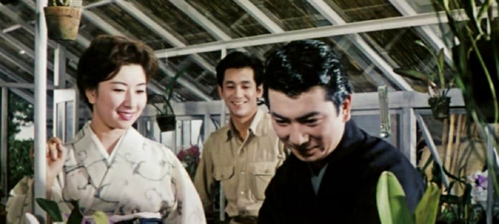 美貌に罪ありの画像