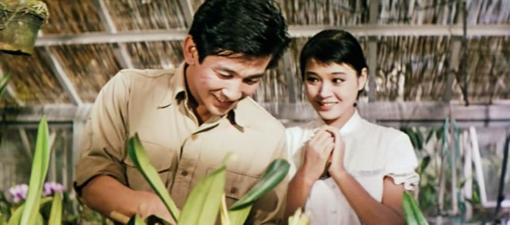 美貌に罪ありの画像