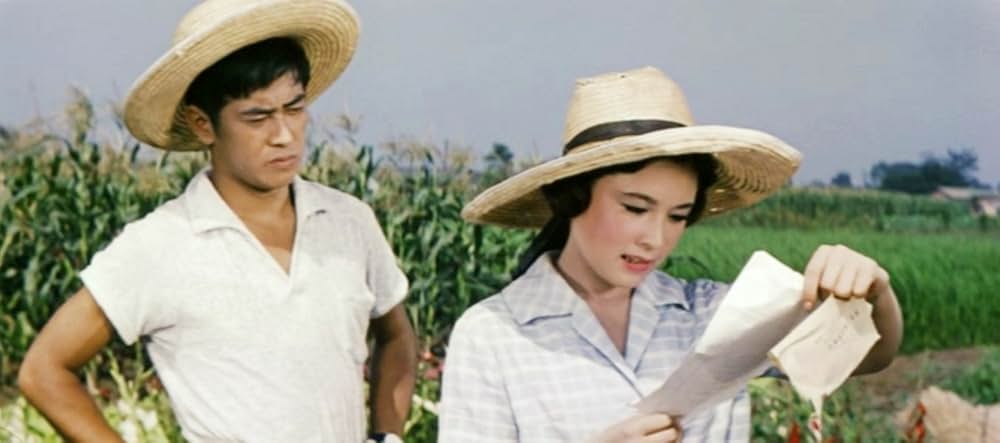 美貌に罪ありの画像