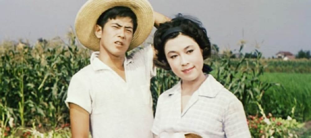 美貌に罪ありの画像