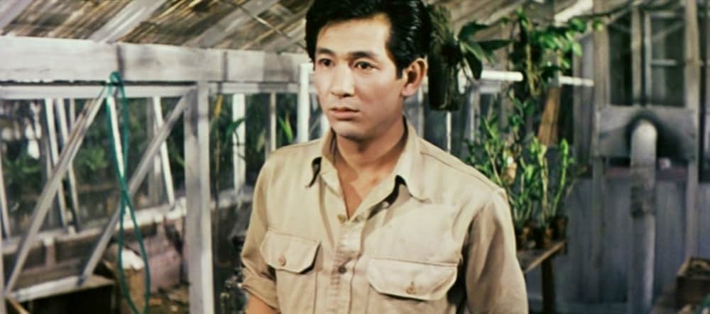 美貌に罪ありの画像