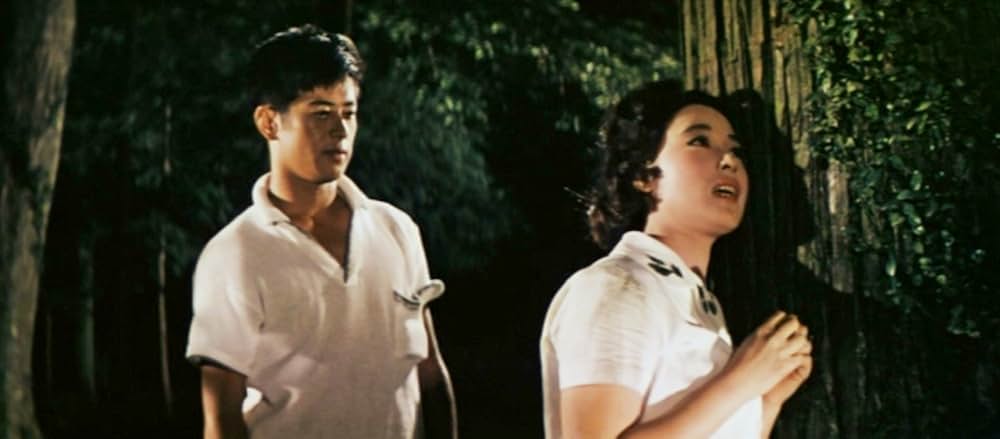 美貌に罪ありの画像