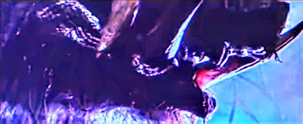 レイザーバックの画像