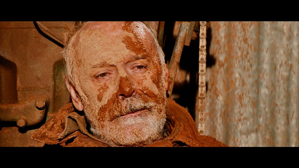 レイザーバックの画像