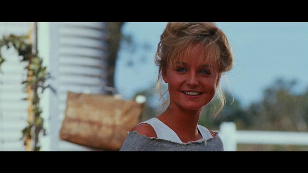 レイザーバックの画像