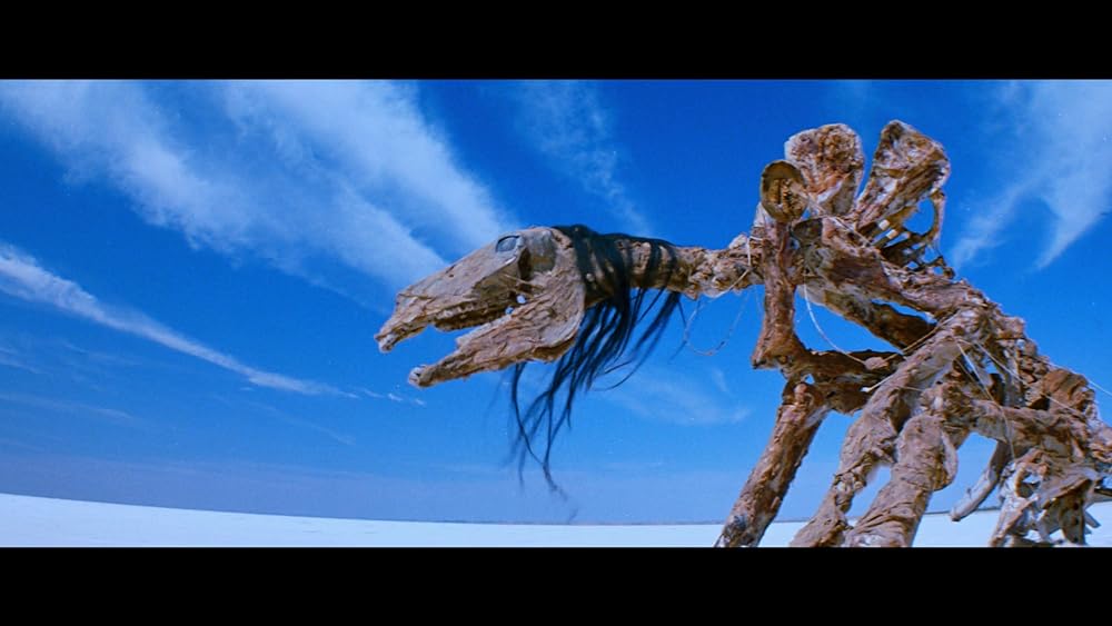 レイザーバックの画像