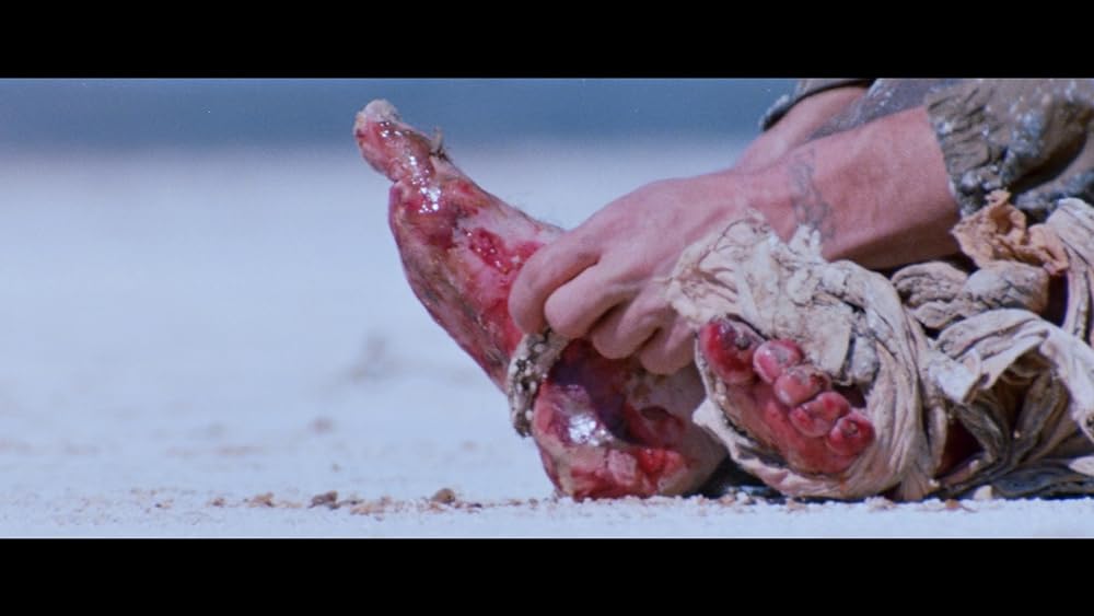 レイザーバックの画像