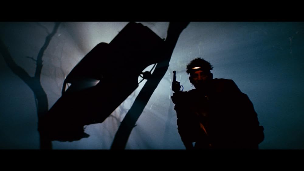 レイザーバックの画像