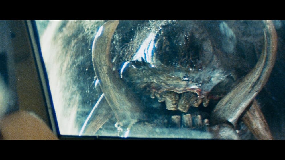 レイザーバックの画像